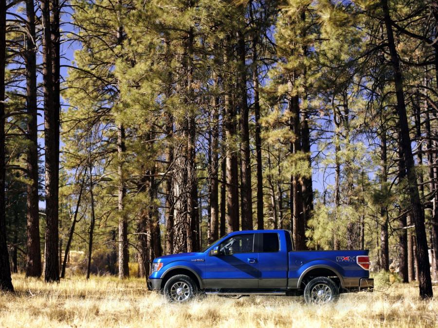  Ford F-150 FX4 2008 года  (фото 3 из 18)